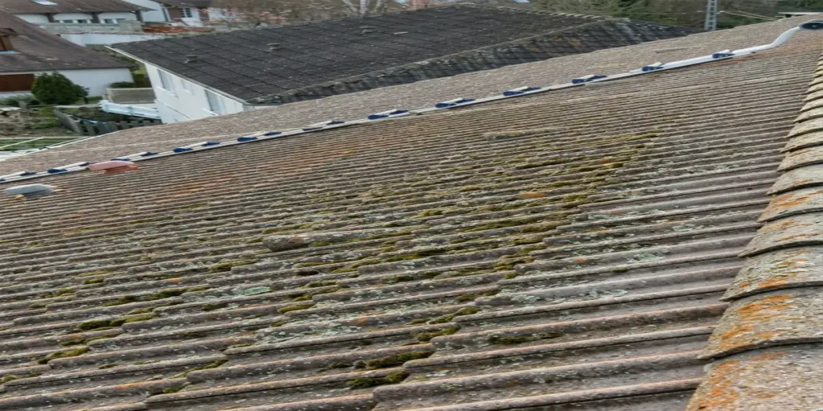 Nettoyage de toiture à Bray-sur-Seine — avant (chantier 1)